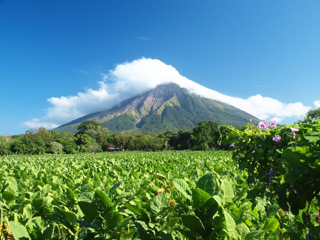 Farm with Volcano Scene